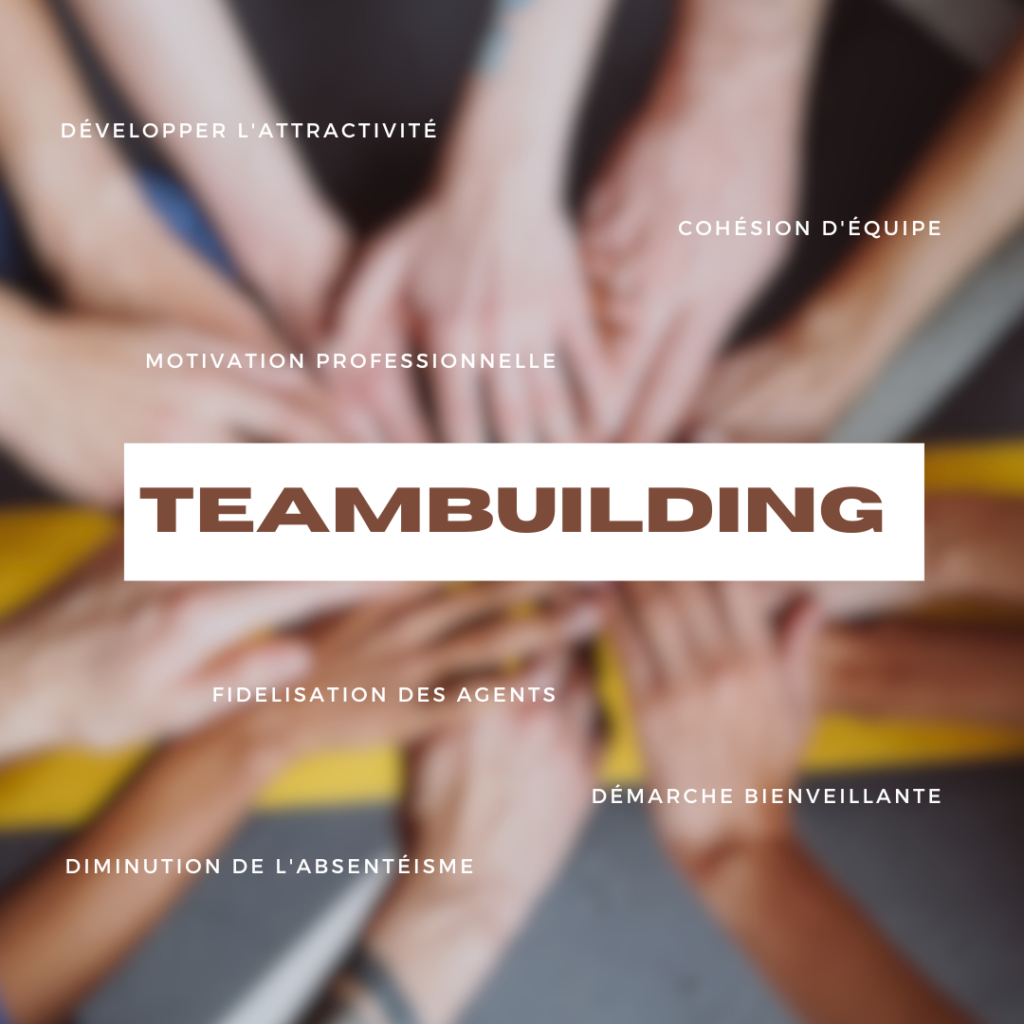 Organisation Teambuilding